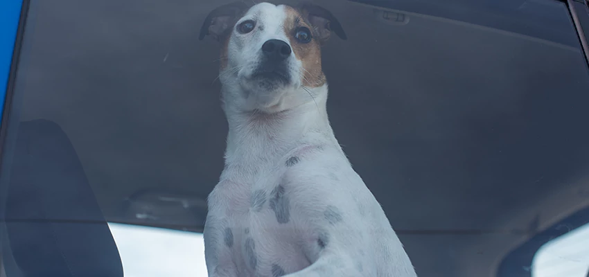 Car Lockout Solutions in Buena Park, California